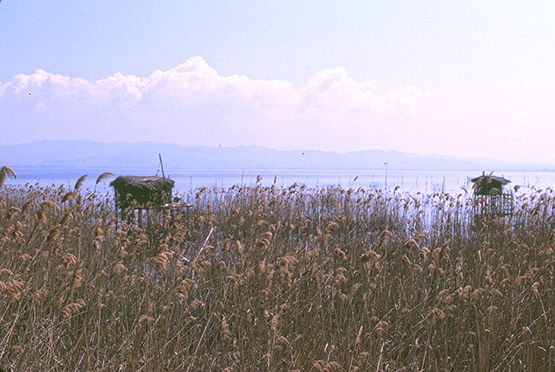 lake1