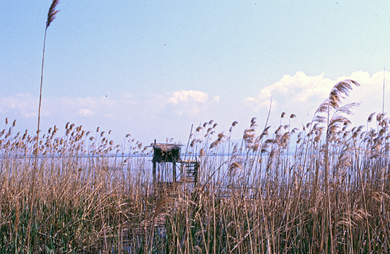 lake3