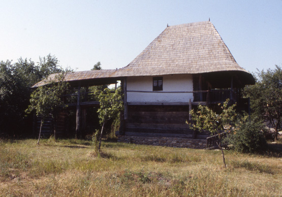 coltescu house