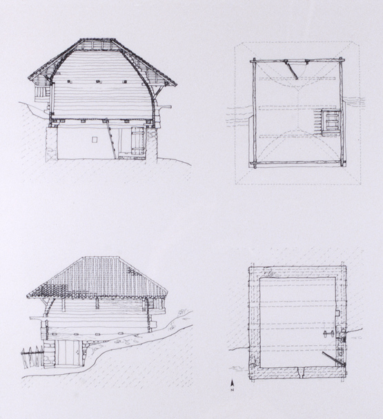 balkan architect revit beginner