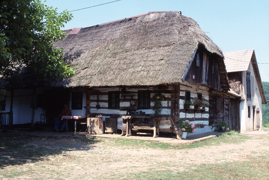 Traditional Dwelling1