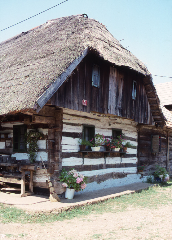 Traditional Dwelling2