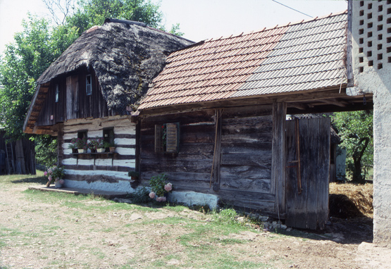 Traditional Dwelling3