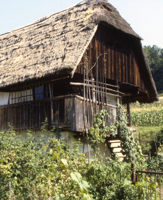 kasca3