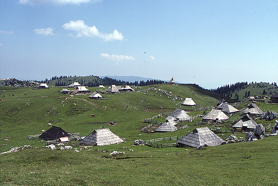 Settlement1